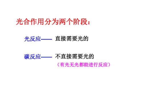 光合作用 綠色生命的能量工廠
