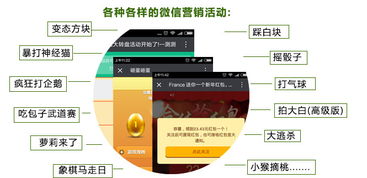 云亞爆炸式微信營(yíng)銷(xiāo)軟件 型號(hào)、功能與購(gòu)買(mǎi)指南